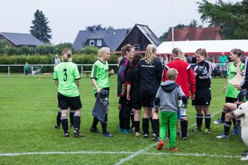 Bild 413 - Kleinfeldturnier Struvenhuetten